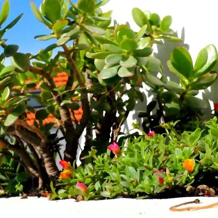 Ten2twelve Сasa de vacaciones *